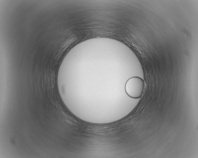 X0000115700716200912101215