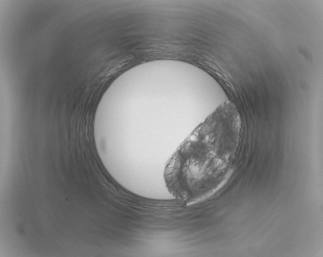 X0000115700719200912101215