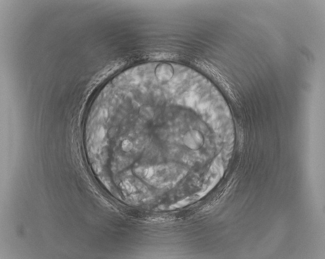 X0000115700721200912101214