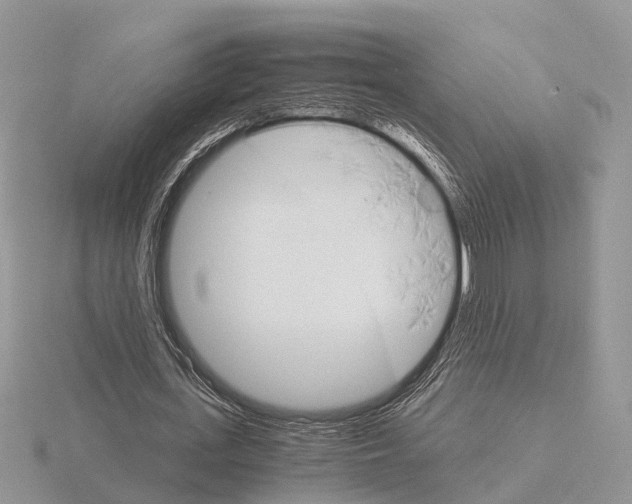 X0000115700723200912101214