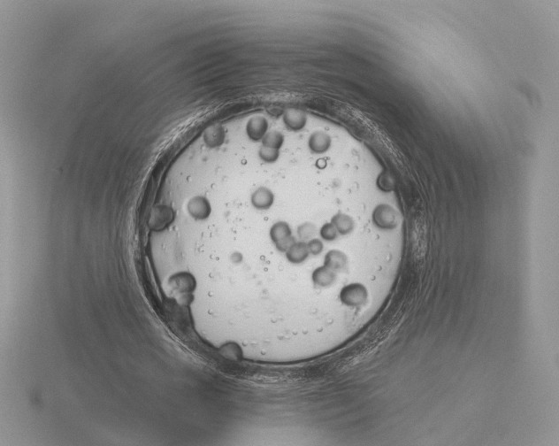 X0000115700725200912101214