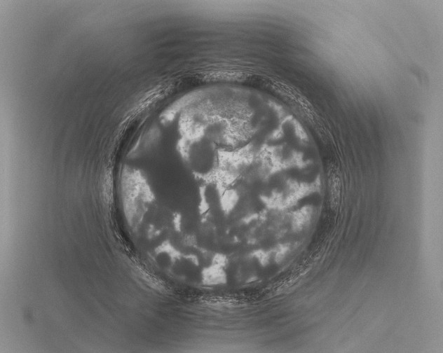 X0000115700729200912101214