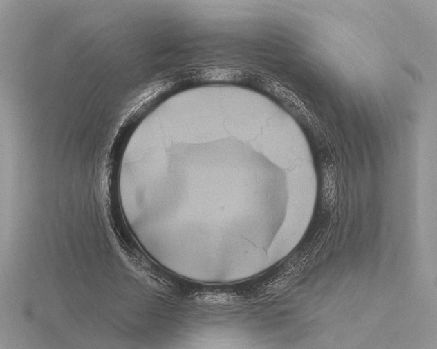 X0000115700730200912101214