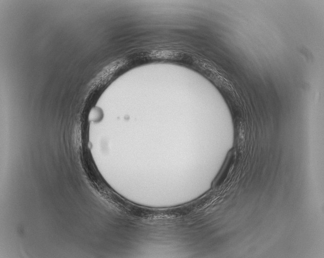 X0000115700734200912101214