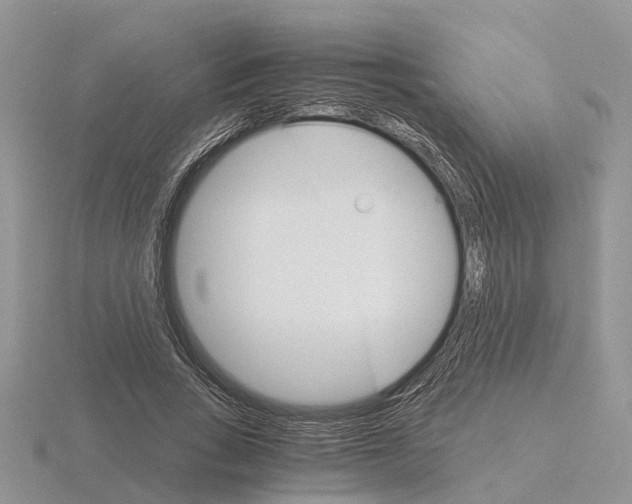 X0000115700735200912101214