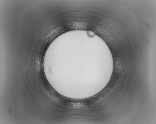 X0000115700741200912101214