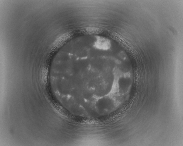 X0000115700742200912101214