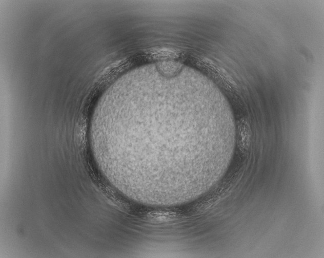 X0000115700745200912101214