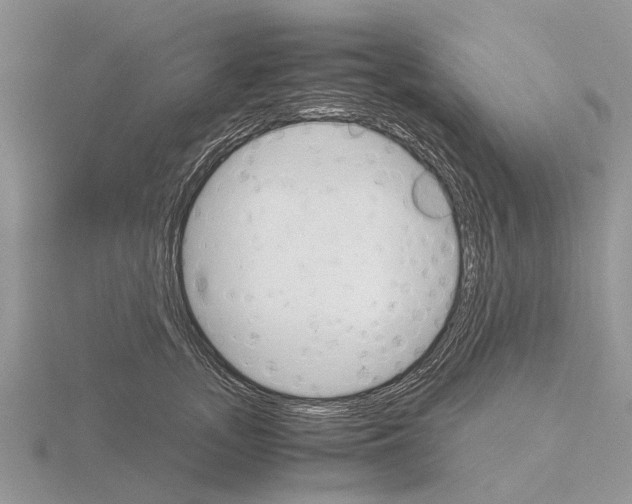 X0000115700755200912101215