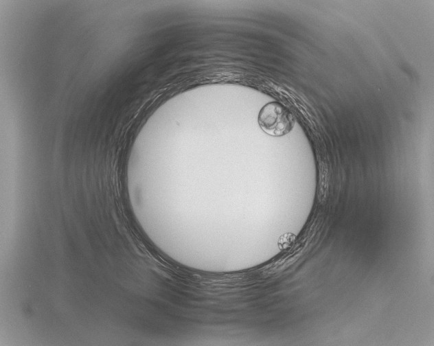 X0000115700759200912101215