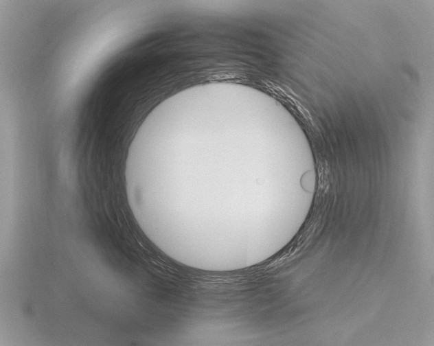 X0000115700763200912101215