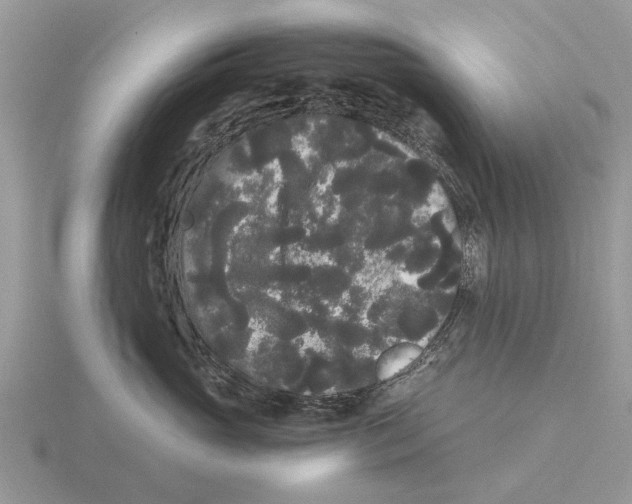 X0000115700765200912101215