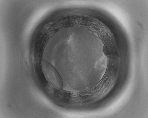 X0000115700766200912101215