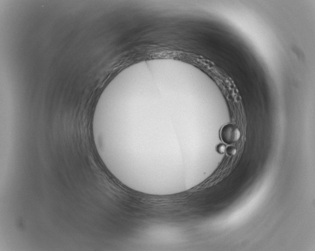 X0000115700767200912101215