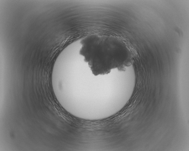 X0000115700772200912101214