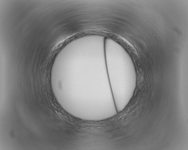 X0000115700775200912101214