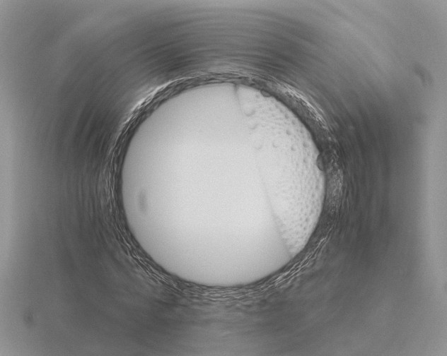 X0000115700776200912101214