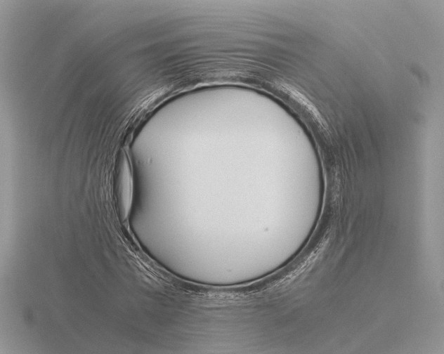 X0000115700777200912101214