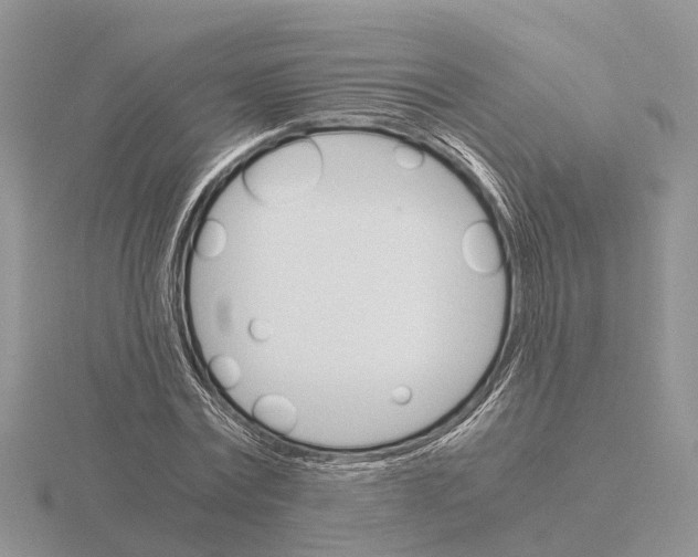 X0000115700779200912101214