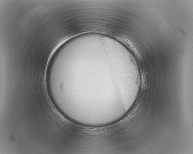 X0000115700780200912101214