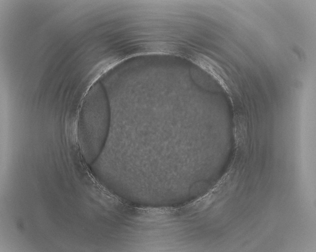 X0000115700781200912101214