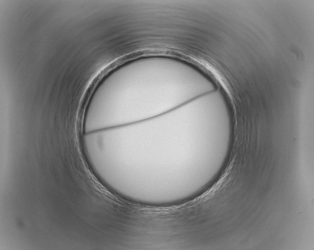 X0000115700783200912101214