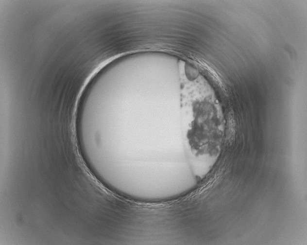 X0000115700784200912101214