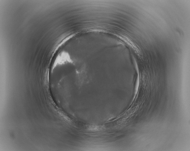 X0000115700790200912101214