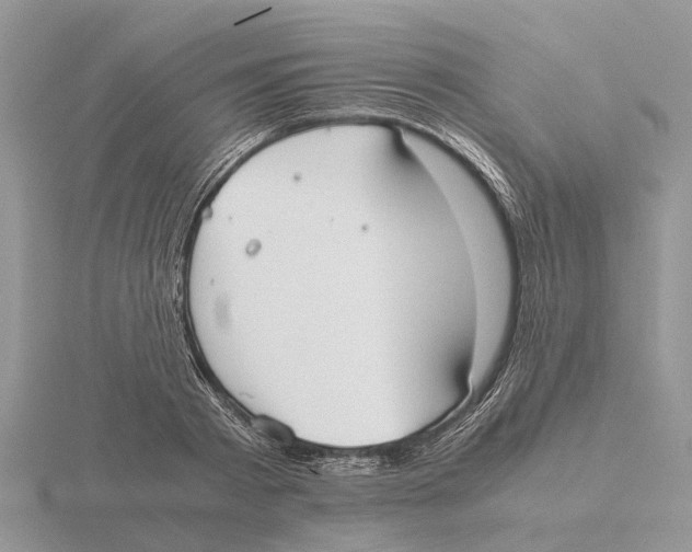 X0000115700793200912101214