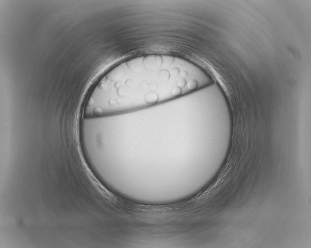 X0000115700795200912101214