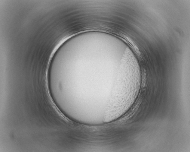 X0000115700796200912101214