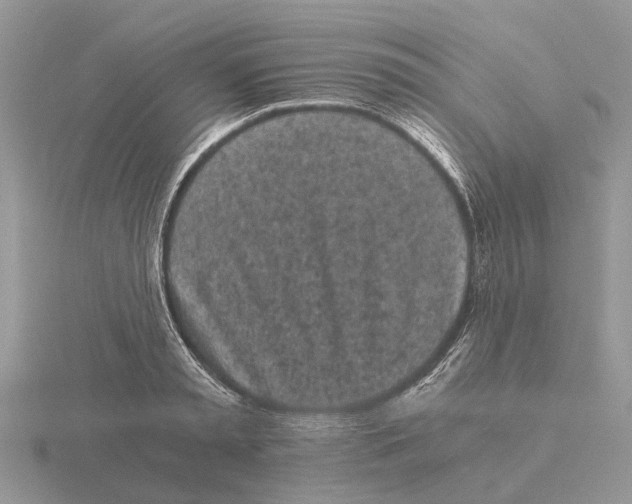 X0000115700797200912101214