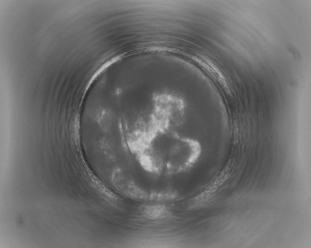 X0000115700798200912101214