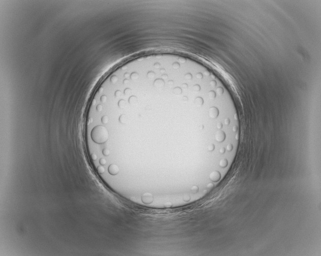 X0000115700799200912101214