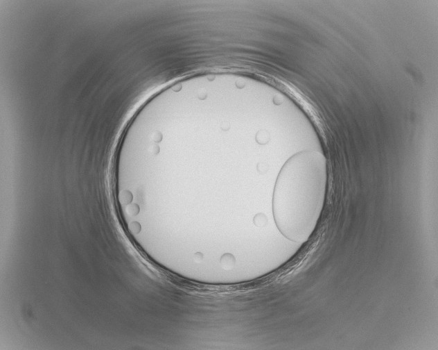 X0000115700803200912101214