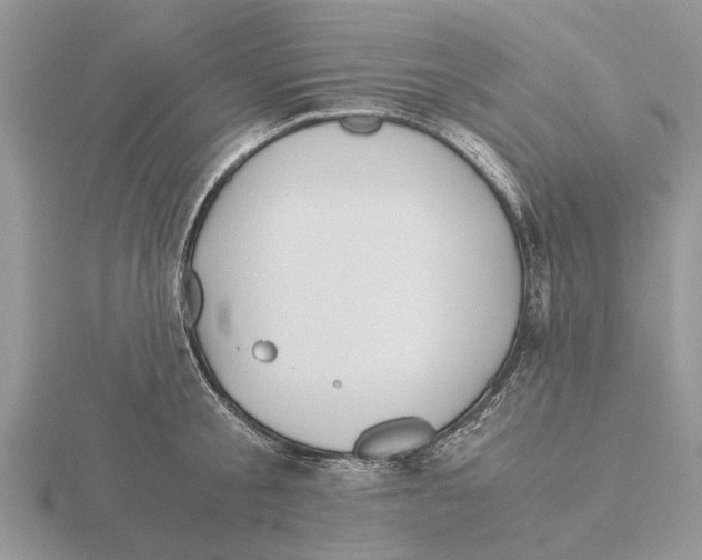 X0000115700805200912101214