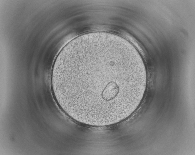 X0000115700810200912101214