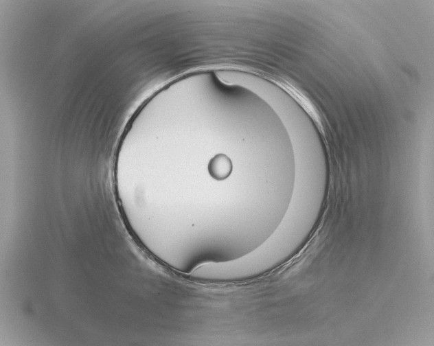 X0000115700813200912101213