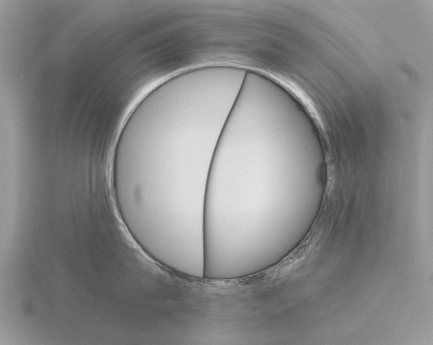 X0000115700815200912101213