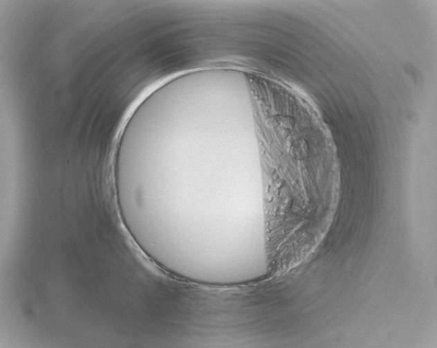 X0000115700816200912101213