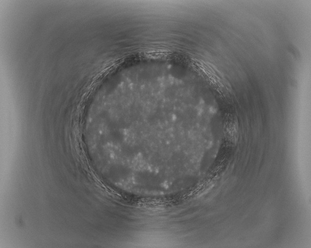 X0000115700817200912101213