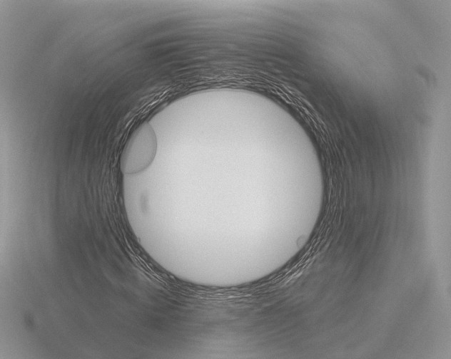 X0000115700820200912101213