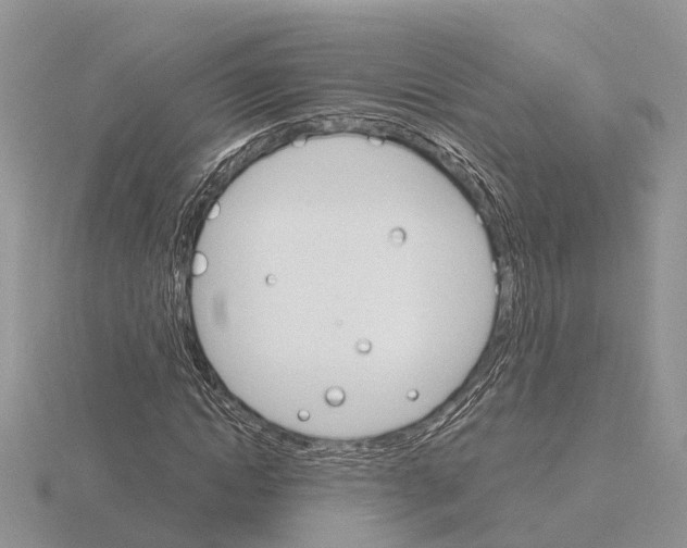 X0000115700822200912101213