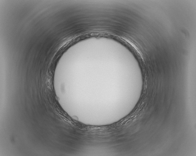 X0000115700823200912101213