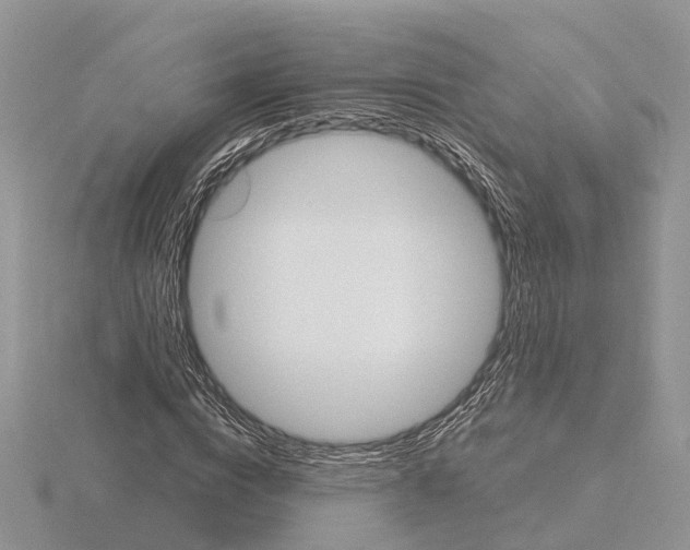 X0000115700824200912101213