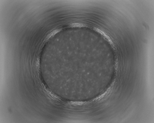 X0000115700825200912101213