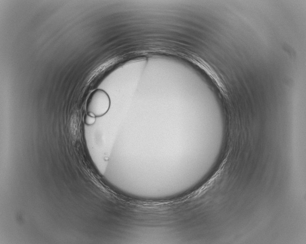 X0000115700826200912101213