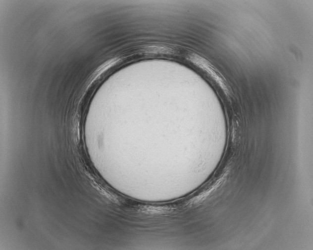 X0000115700829200912101213