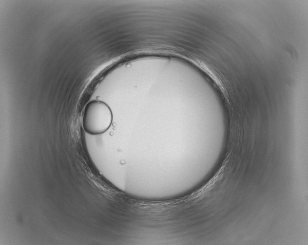 X0000115700830200912101213