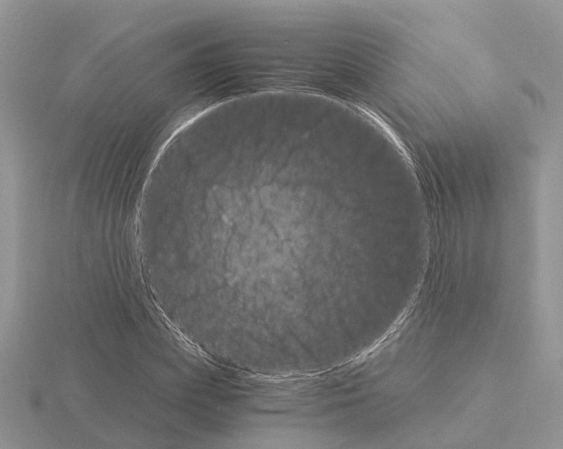 X0000115700831200912101213